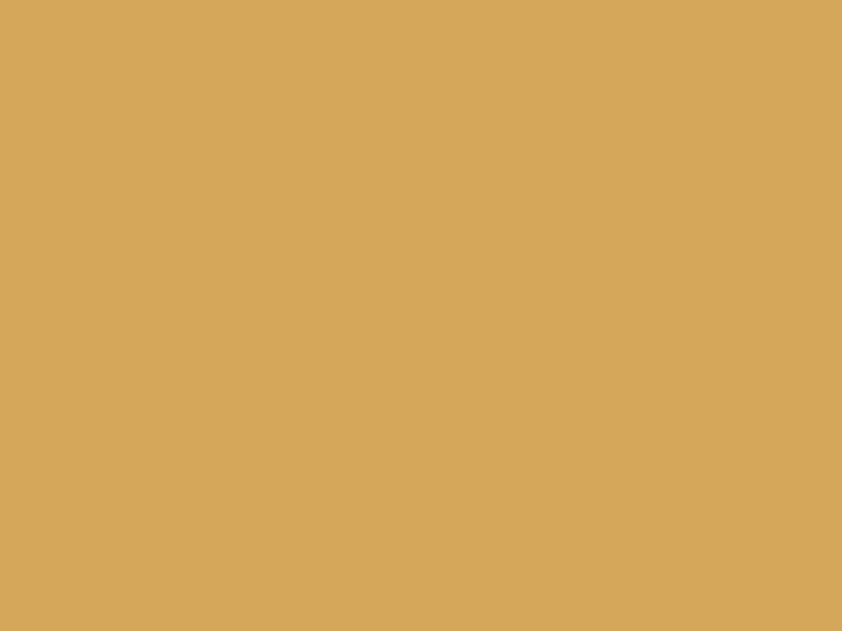 Placeholder amber rectangle representing the project hero chart.